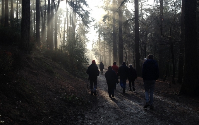 Walkers at Lickey Hills