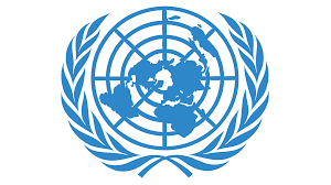 Image for United Nations