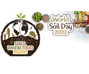 Image for World Soil Day